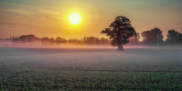 Sonnenaufgang in Langenhagen